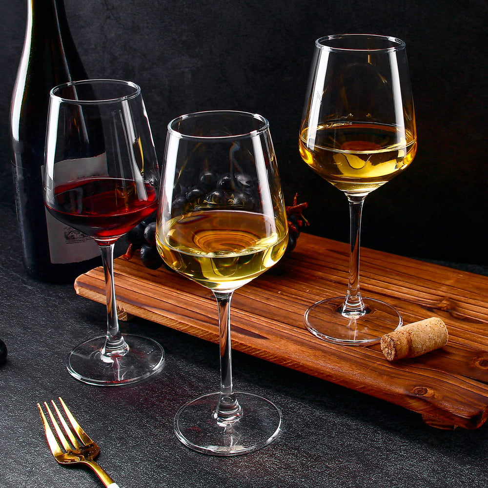 SHYRC verre tenu à la main illustrant la capacité 12 oz et prise confortable