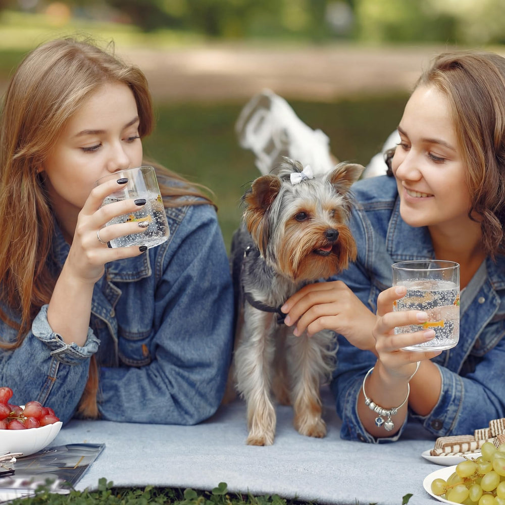 SiliFine verre présenté comme cadeau emballage prêt à offrir