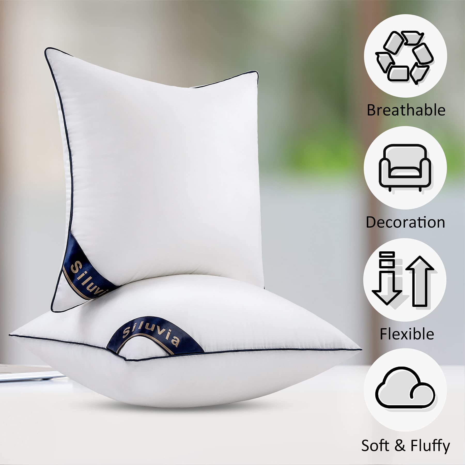 Siluvia comparaison taille avec livre, montre dimensions pratiques