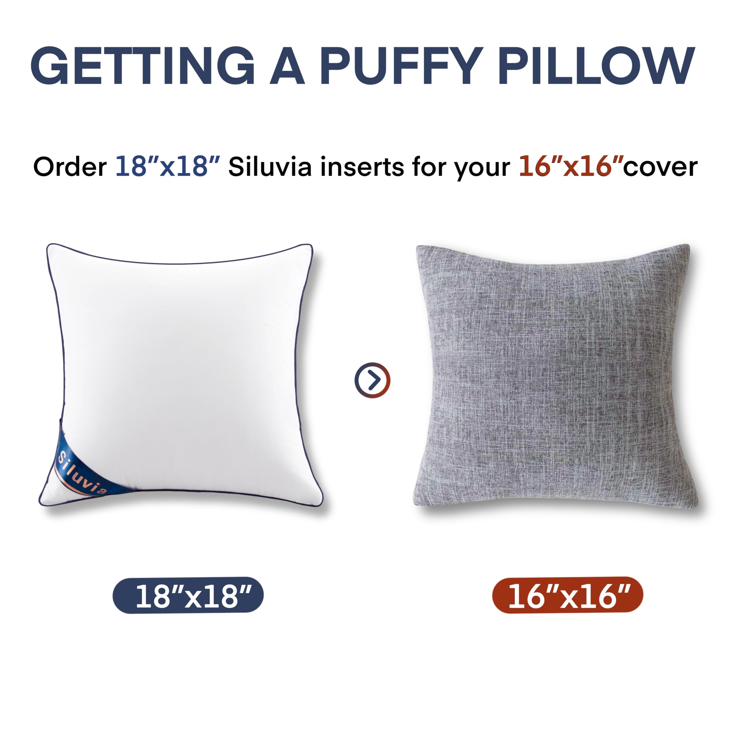 Siluvia coussins disposés sur canapé, confort et style instantanés