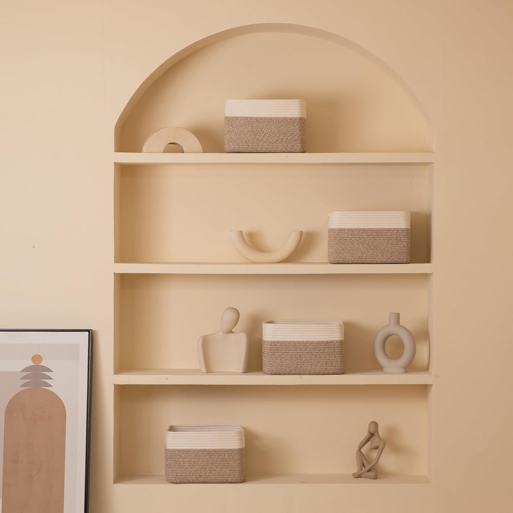 SIXDOVE panier plié pour stockage, transport et rangement simplifiés