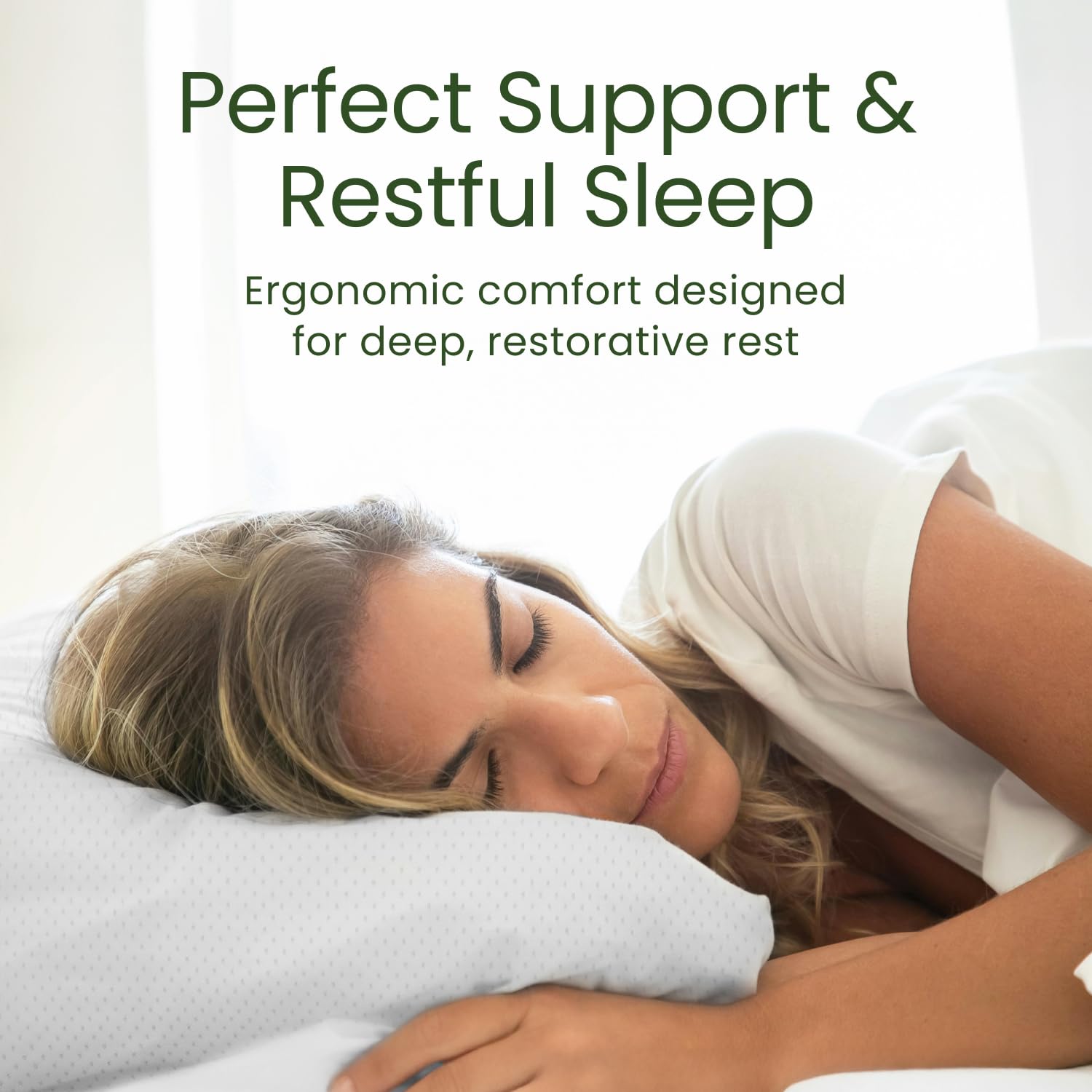Sleepavo comparaison d'échelle montrant dimensions Queen pour référence visuelle