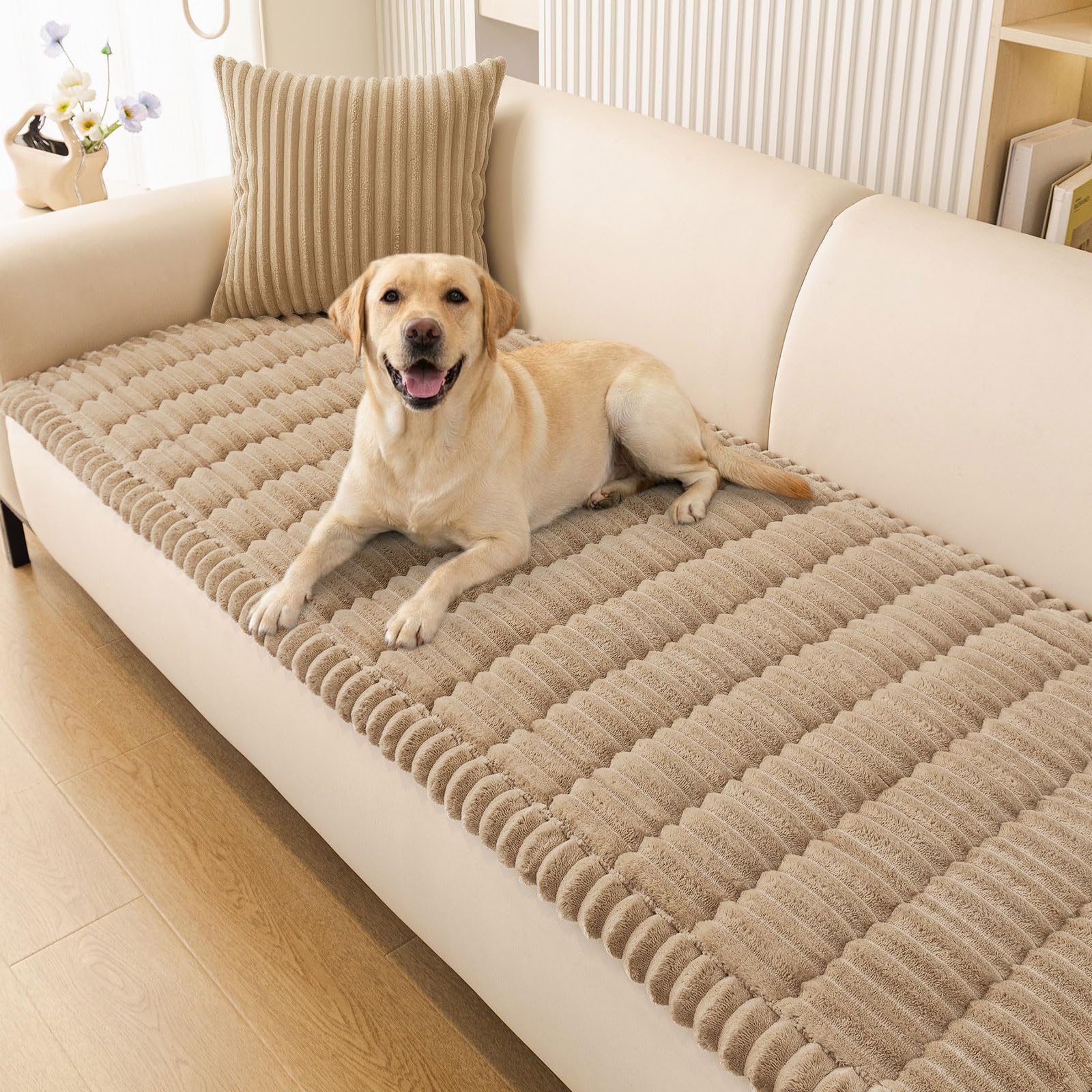 Smiry housse face avant montrant protection et style