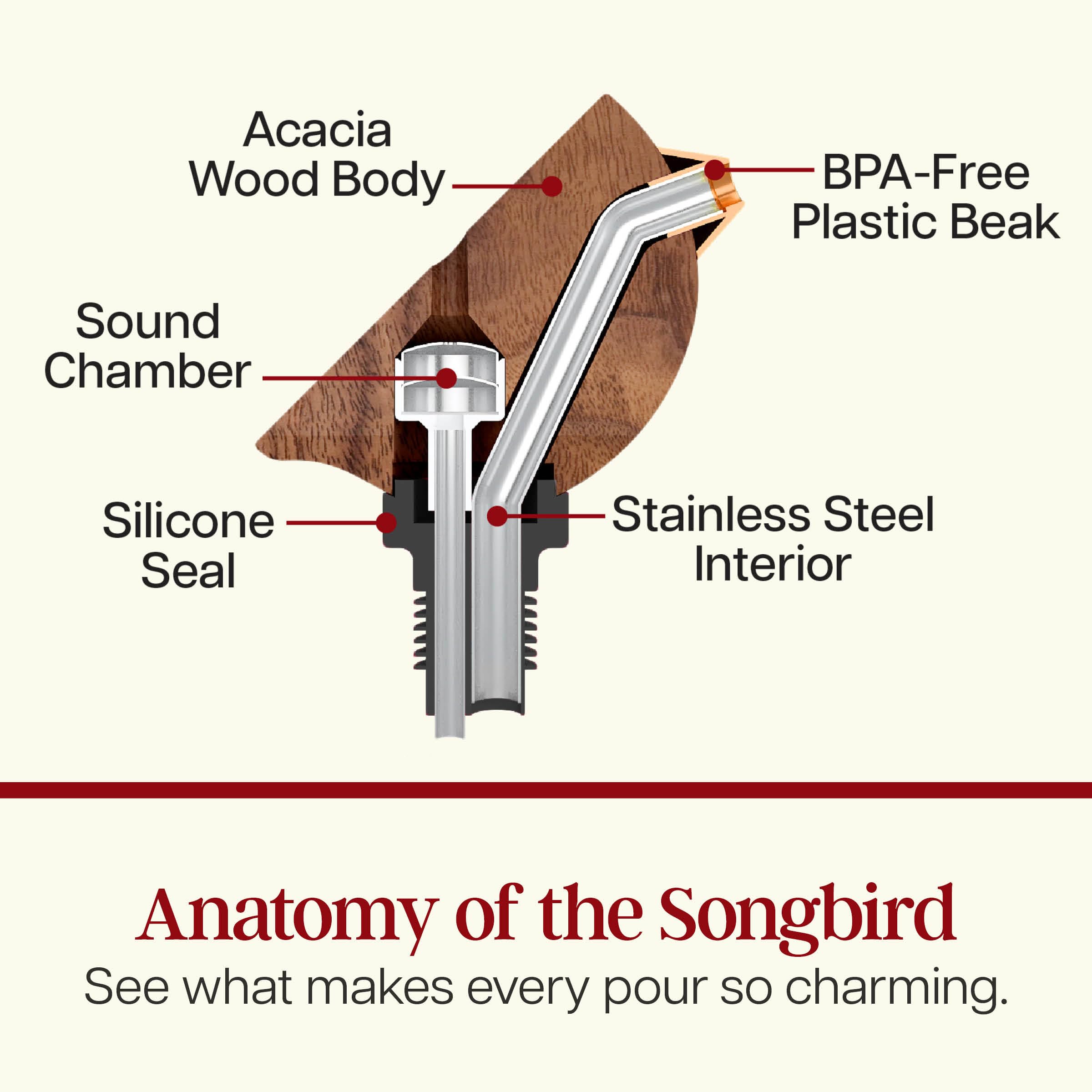SONGBIRD SPECIALTIES comparaison taille avec verre, montre dimensions utiles