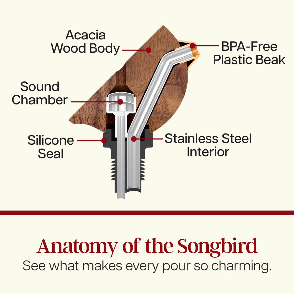 SONGBIRD SPECIALTIES comparaison taille avec verre, montre dimensions utiles