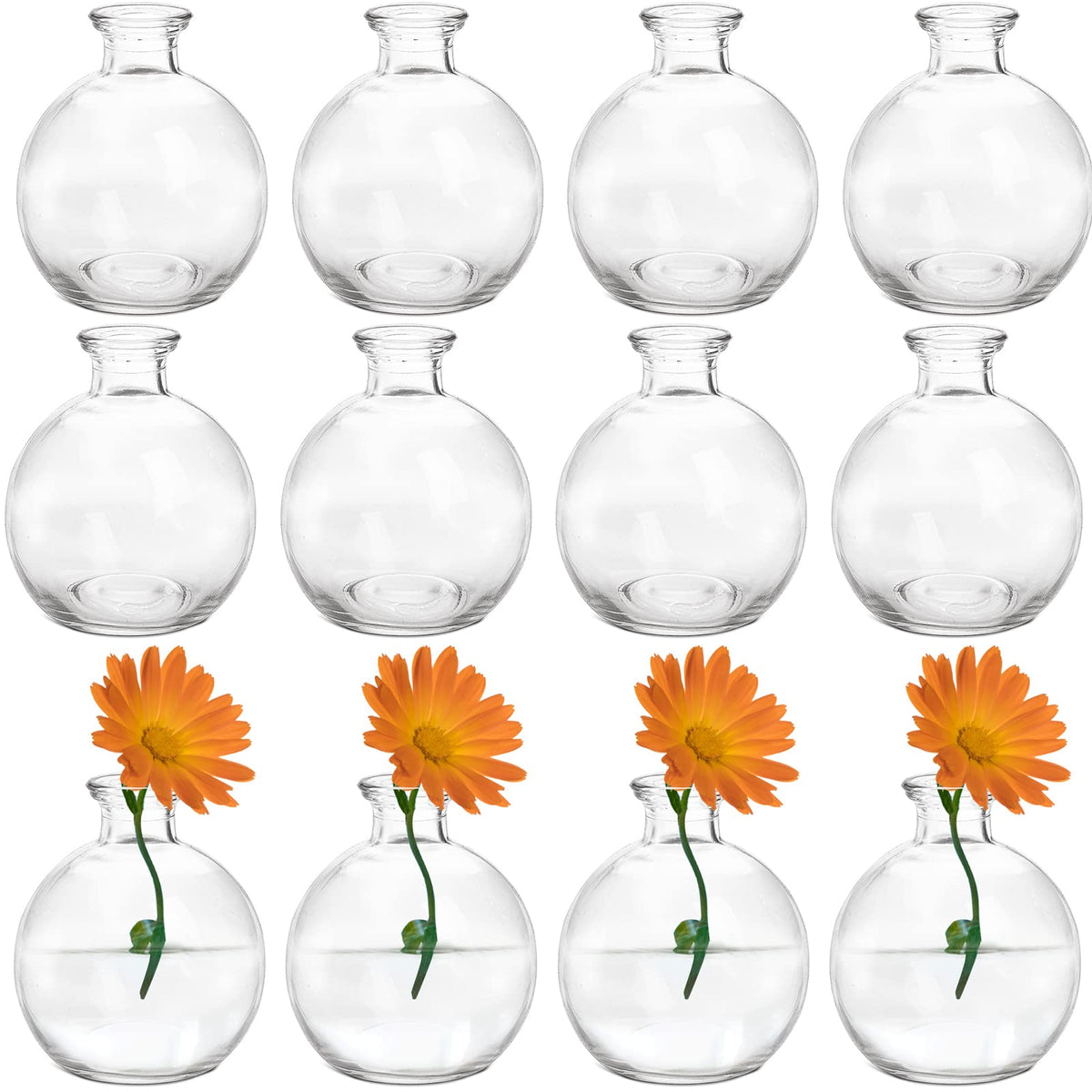 SOUJOY vue face lot de 12 vases mettant en valeur la répétition décorative