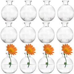 SOUJOY vue face lot de 12 vases mettant en valeur la répétition décorative