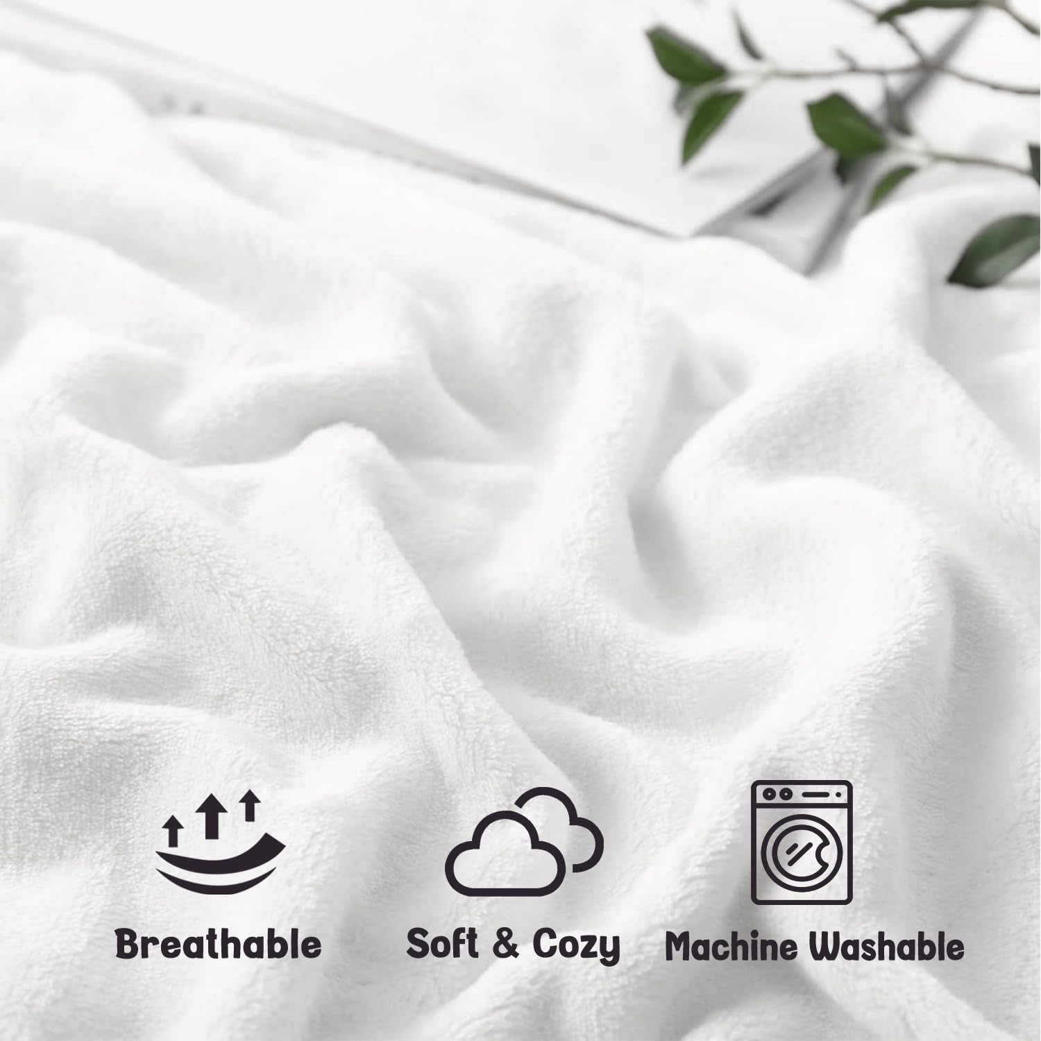 Sruemiul comparaison de taille 50x60 montrant l'échelle pratique