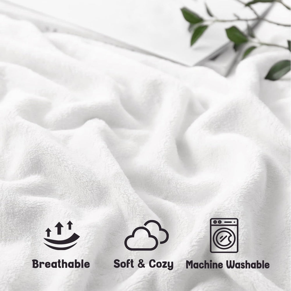 Sruemiul comparaison de taille 50x60 montrant l'échelle pratique