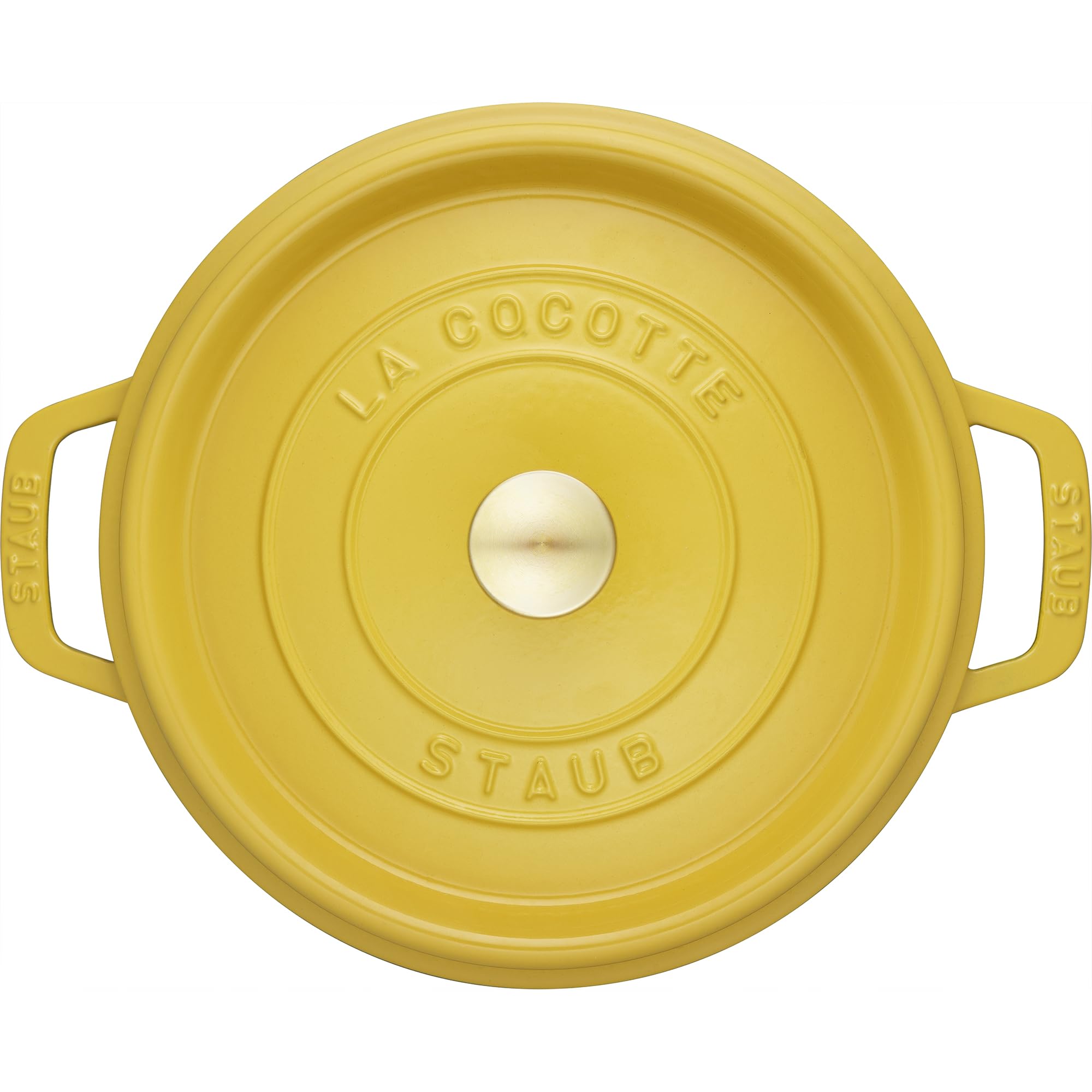 Staub cocotte en service, ragoût juteux prêt à déguster