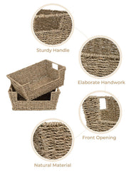StorageWorks panier dans garde-manger accès rapide et organisation visuelle