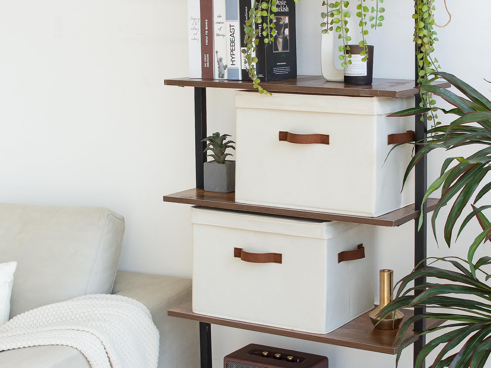 StorageWorks comparaison taille près d une règle, capacité 20L claire