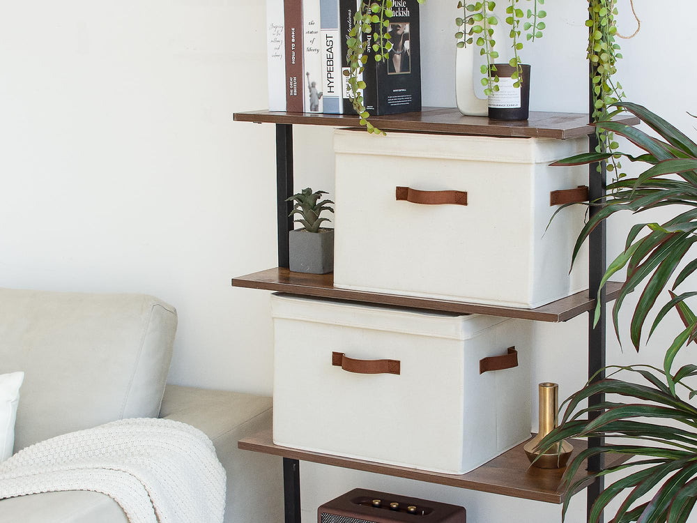 StorageWorks comparaison taille près d une règle, capacité 20L claire