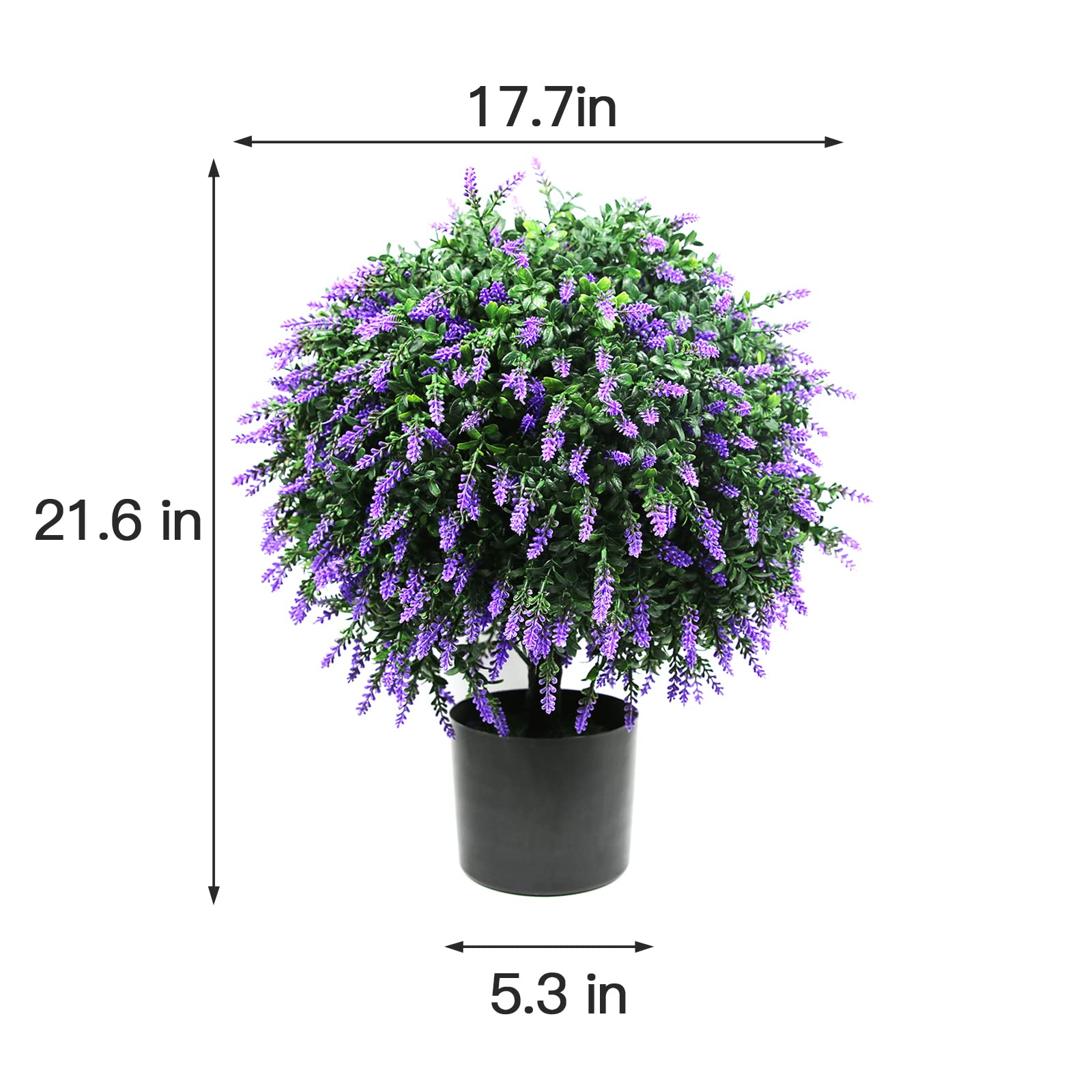 Sunnyglade topiaire comparaison taille montrant échelle pratique et proportion