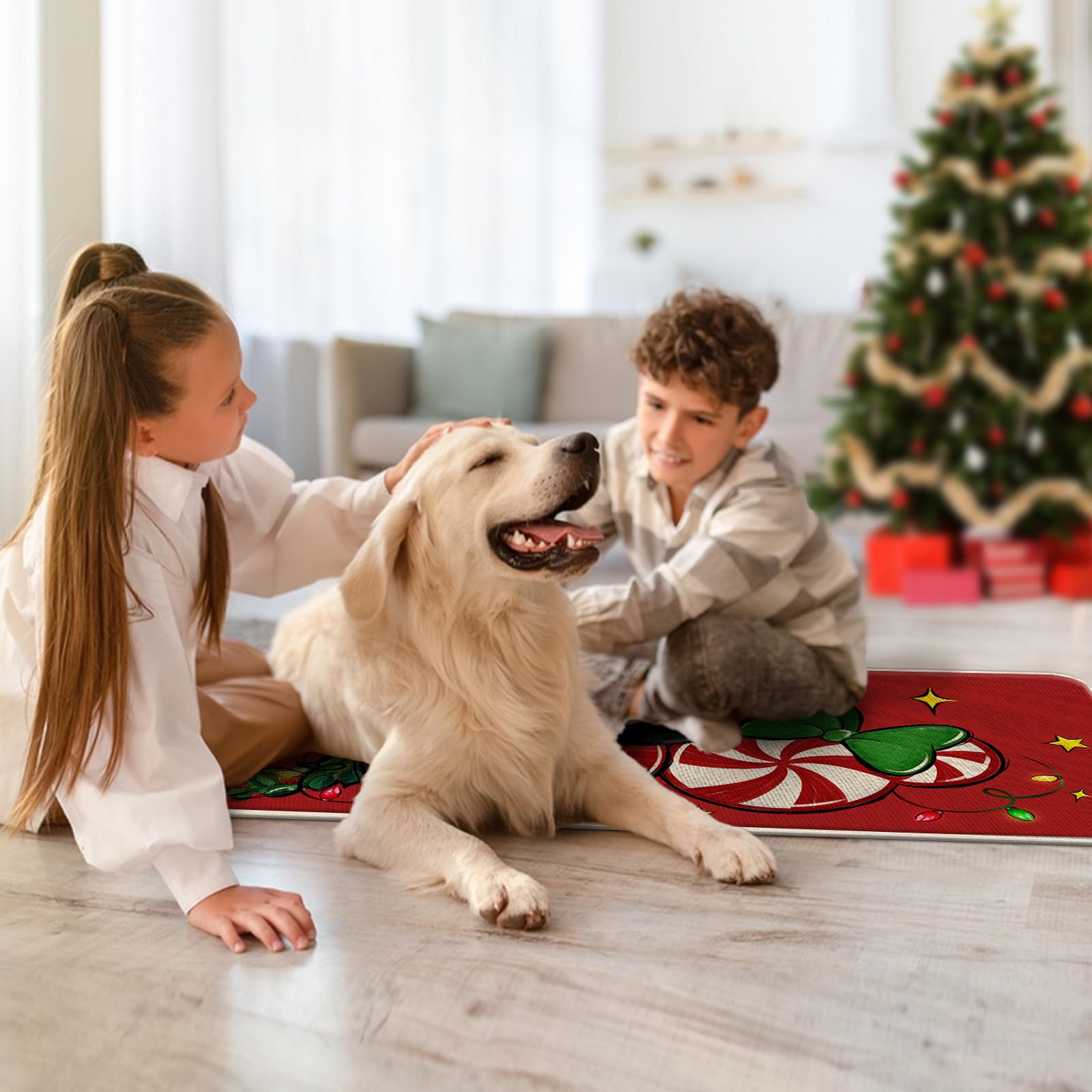 Tailus tapis dans entrée décorée évoque accueil chaleureux de Noël