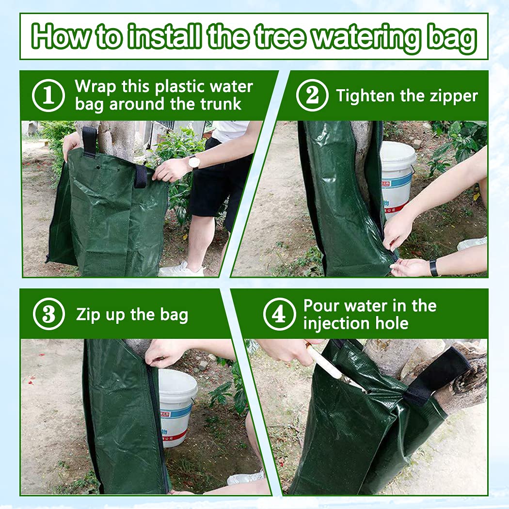 Tanzfrosch comparaison taille sac et arbre pour évaluer échelle