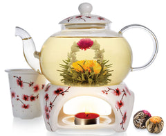 Teabloom théière face avant en verre, design visible et élégant