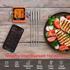 TempPro gros plan d’une sonde pour mesurer la viande précisément