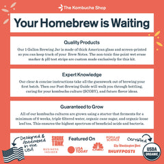 The Kombucha Shop brosse flexible conçue pour nettoyer l'intérieur des bouteilles efficacement