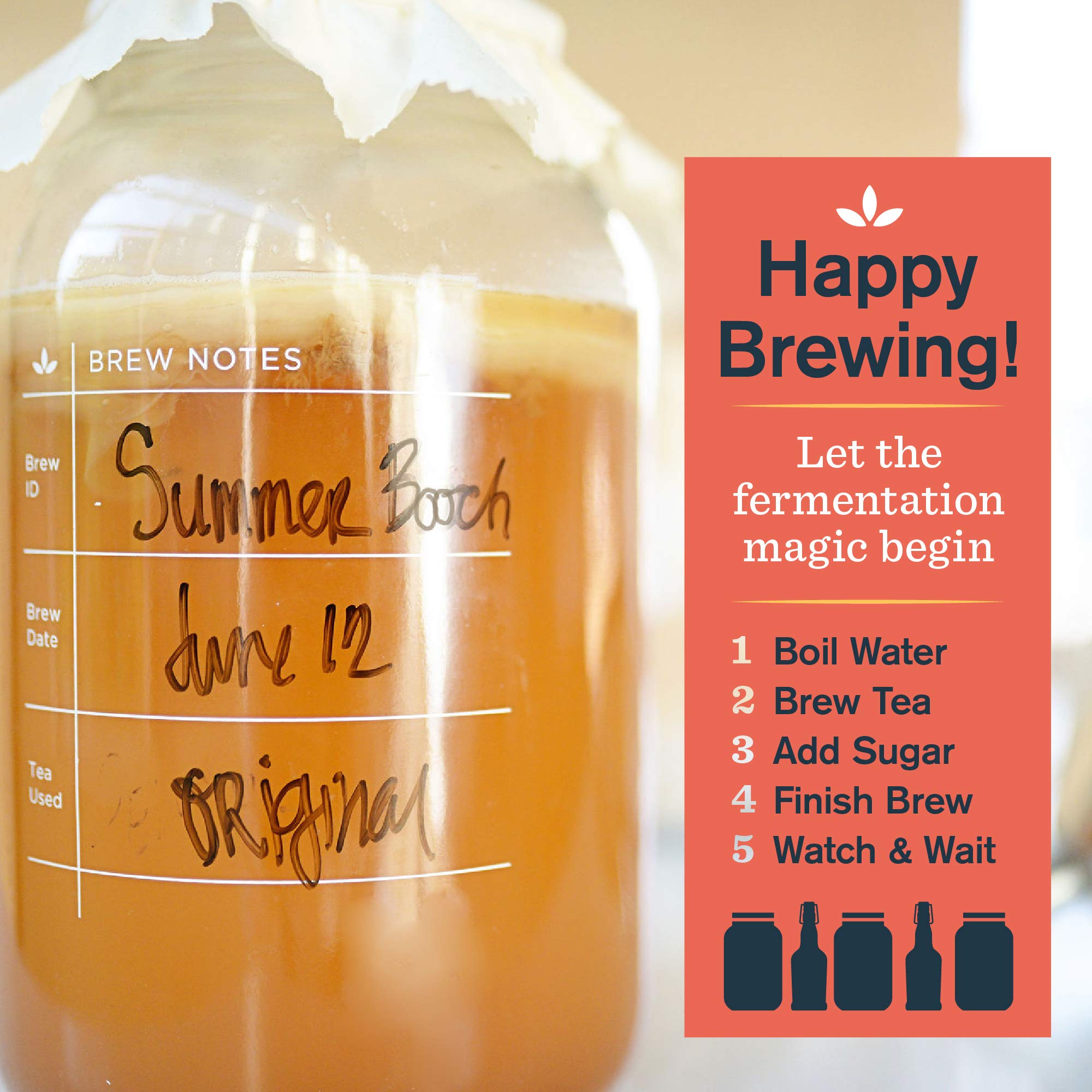 The Kombucha Shop comparaison d'échelle montrant la taille 16 oz pour portion individuelle pratique