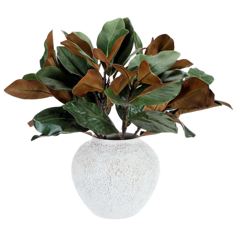 Thiccywoov vue avant du lot de branches magnolia prêt à poser, ajoute du volume décoratif