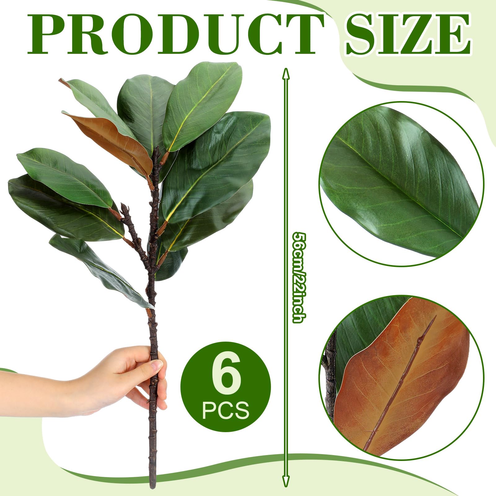 Thiccywoov gros plan sur feuille de magnolia montrant nervures réalistes et texture fidèle