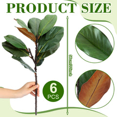 Thiccywoov gros plan sur feuille de magnolia montrant nervures réalistes et texture fidèle