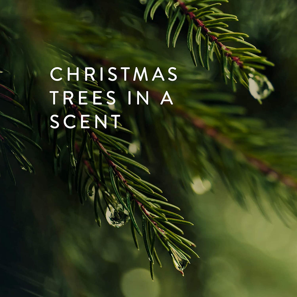 Thymes bougie Frasier Fir étiquette et base soulignant qualité et informations produit