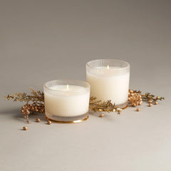 Thymes Frasier Fir gros plan sur texture wood grain pour effet naturel