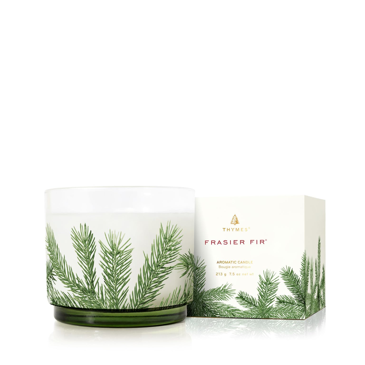 Thymes Frasier Fir pot avant décoré aiguille de pin, apporte ambiance festive