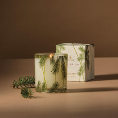 Thymes Frasier Fir gros plan motif aiguilles de pin pour un look festif élégant