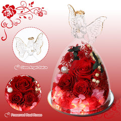 Tiaronics gros plan sur roses rouges Austin montrant couleur durable