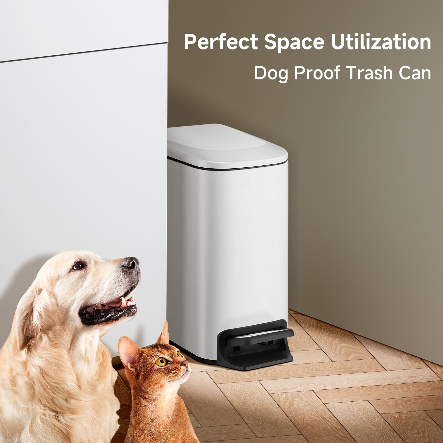 TIPGO comparaison d'échelle montrant taille 1,6 gal pratique