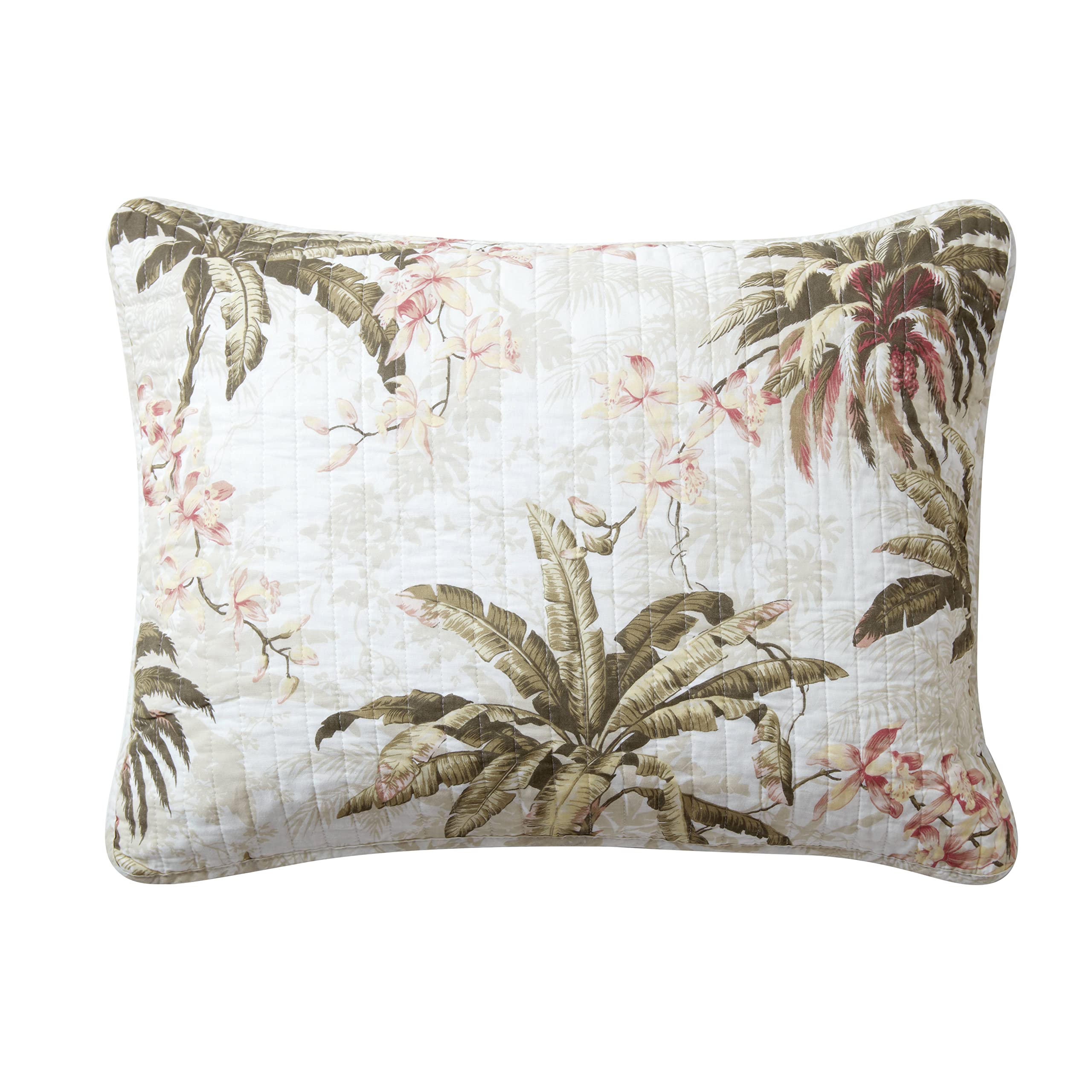 Tommy Bahama comparaison taille montrant l'ampleur king pour lit large