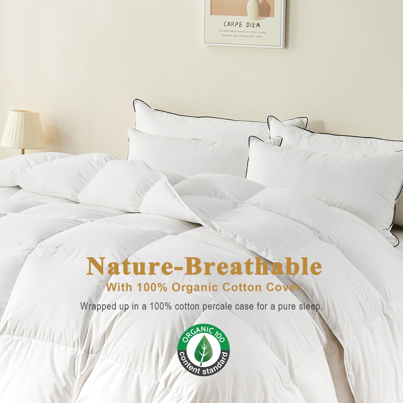 TOPGREEN garnissage en duvet et plumes gonflant garantissant isolation légère