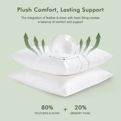 TOPGREEN coupe du garnissage plumes et mousse offrant confort équilibré