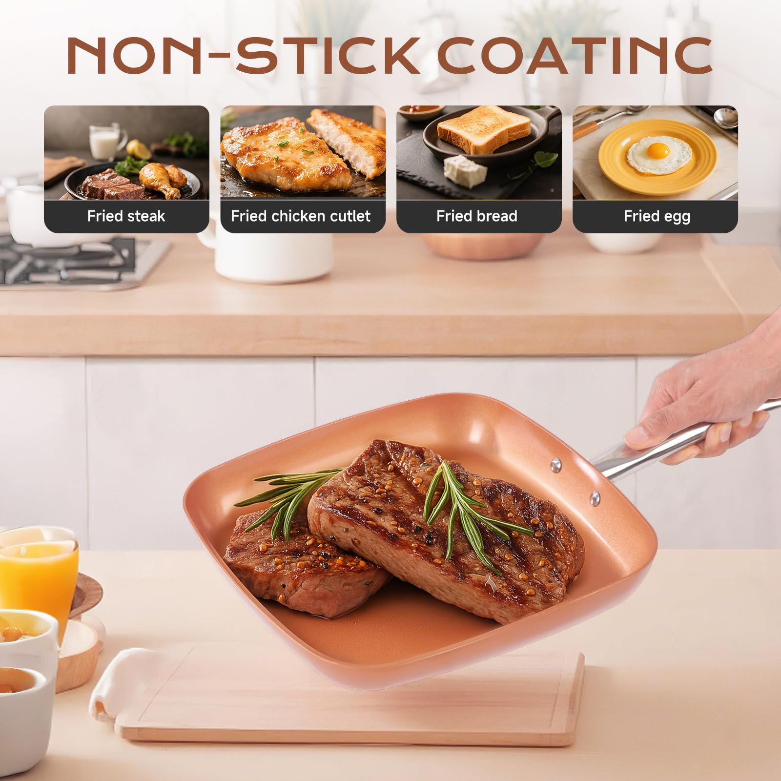 Toutrop comparaison taille sur assiette pour visualiser capacité
