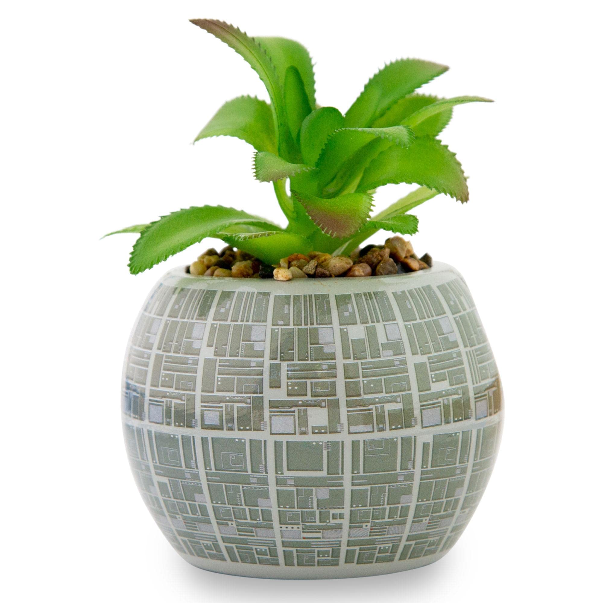 Toynk Death Star vue de dessus avec succulente artificielle réaliste