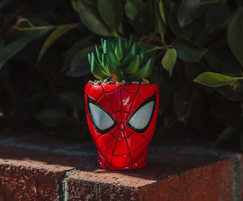Toynk Spider-Man emballage officiel Marvel prêt à offrir en cadeau