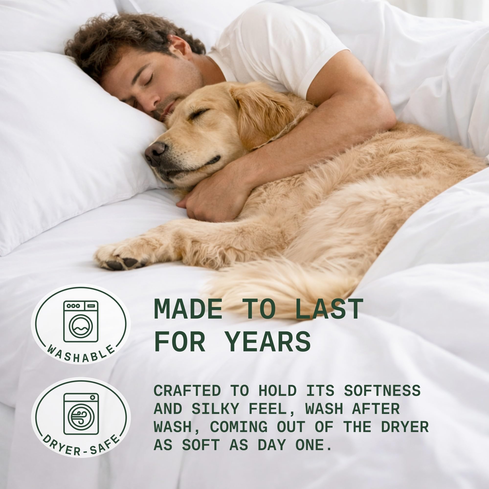 TRUE BAMBOO lit aménagé en style moderne, confort respirant mis en valeur
