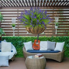 trytuny lavandes installées en jardinière sur balcon apportant couleur durable et ambiance