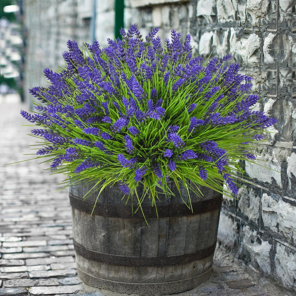 trytuny rinçage léger des fleurs montrant entretien simple et aspect préservé