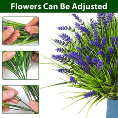 trytuny gros plan sur inflorescences lavande soulignant textures et couleurs naturelles