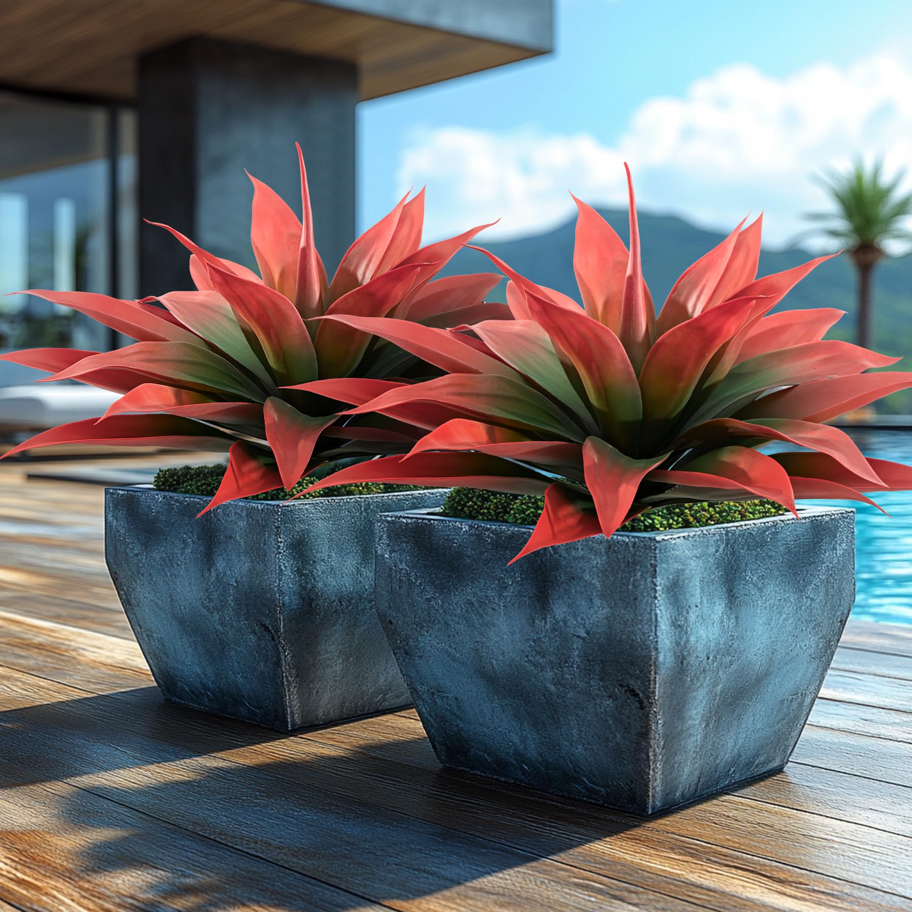 Ttranewsoo agave en extérieur, résiste au soleil et sublime le jardin