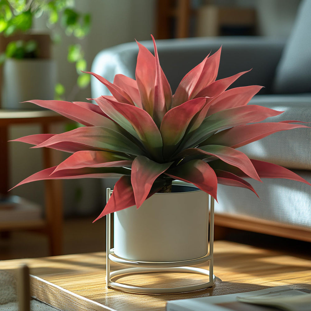 Ttranewsoo agave en pot décoratif, apporte structure à une terrasse