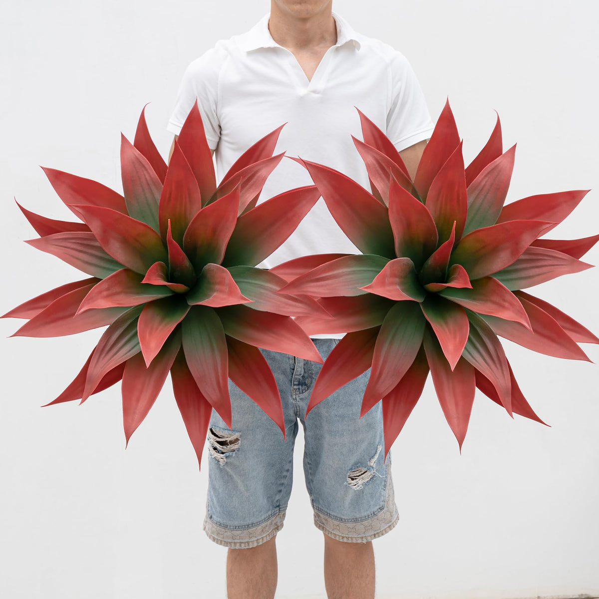 Ttranewsoo agave rouge vue frontale, couleur vive et impact décoratif
