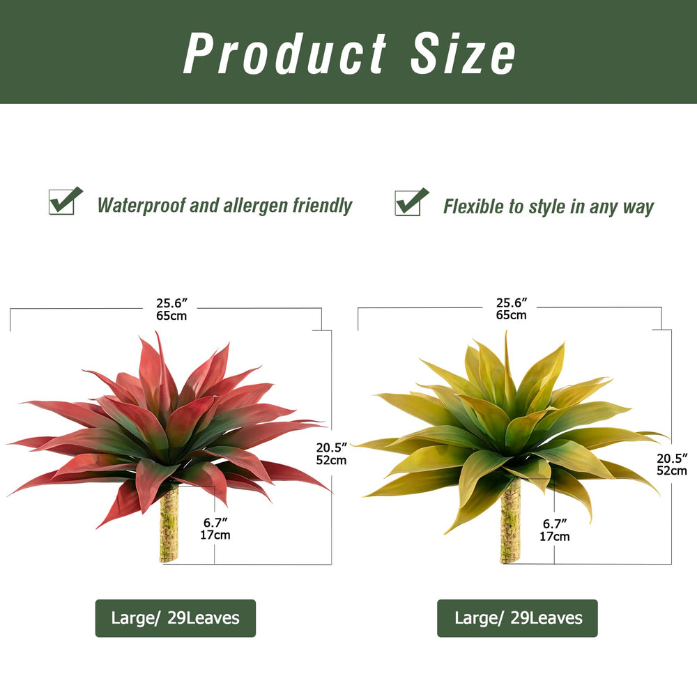 Ttranewsoo gros plan feuilles, texture épaisse et tenue robuste