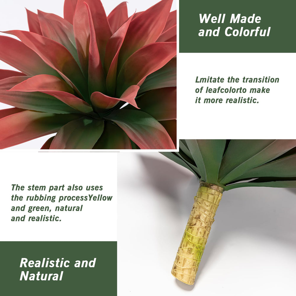 Ttranewsoo lot de deux agaves, solution symétrique pour aménagement