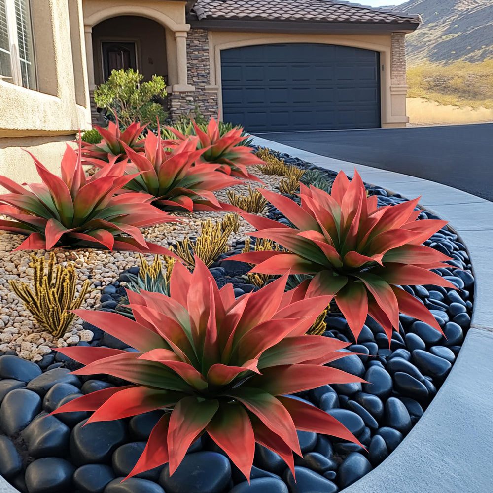Ttranewsoo agave comparaison taille, échelle claire pour l'installation