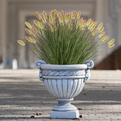 Ttranewsoo herbes en jardinière, ajoute du volume sans entretien